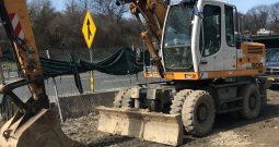 2010 Liebherr A900C