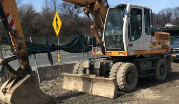 2010 Liebherr A900C