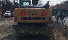 2010 Liebherr A900C